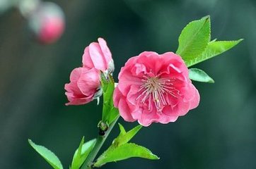 西安交通大學(xué)威海校友會(huì)到訪中都，參觀交流