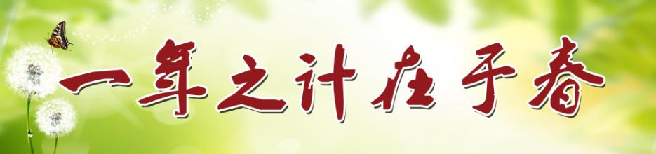 中都投資集團(tuán)召開(kāi)新年收心工作會(huì)